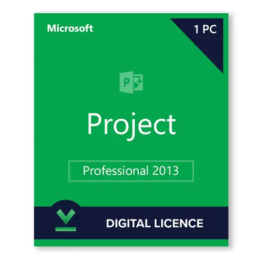 Microsoft Project Professional 2013